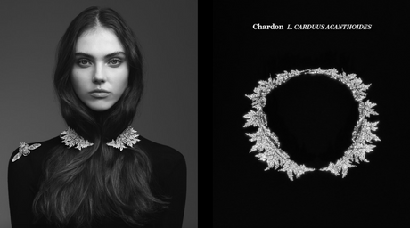 Untamed Nature: nowa kolekcja high jewellery Maison Boucheron z motywami roślinnymi i zwierzęcymi